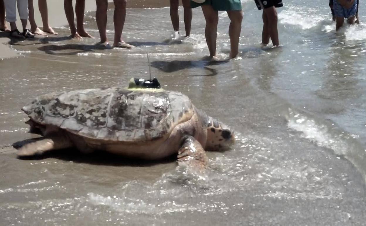 'Colomera' regresa al mar