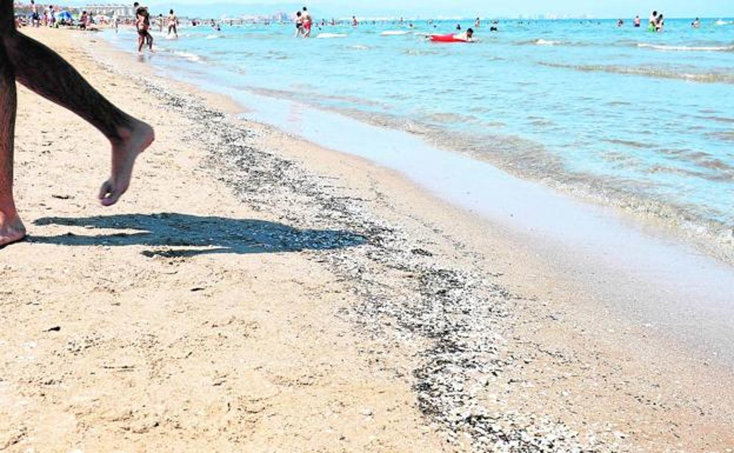 PLAYA LES FONTS. En Alcossebre, está en la lista negra por contaminación.