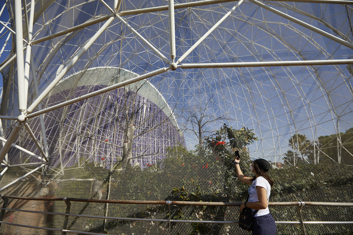 El Oceanogràfic de Valencia ha reabierto este miércoles al público después de estar 110 días cerrado por la pandemia del coronavirus, y lo ha hecho con un preventa de casi mil entradas y confiando en que las circunstancias permitan «rescatar, poco a poco, el brillo y la importancia» que tiene este parque para la Ciudad de las Artes y las Ciencias. 