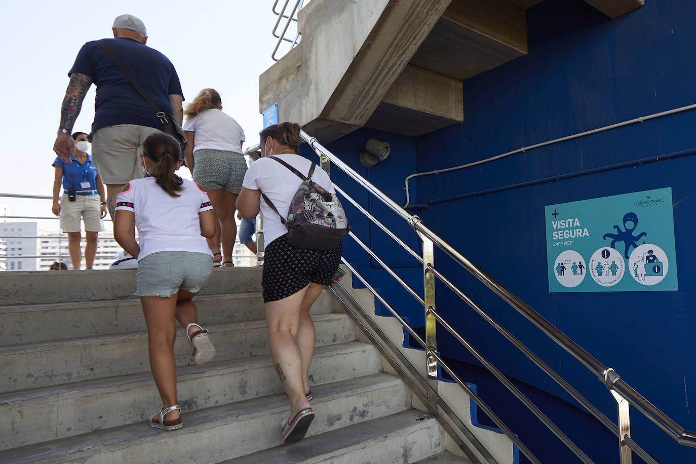 El Oceanogràfic de Valencia ha reabierto este miércoles al público después de estar 110 días cerrado por la pandemia del coronavirus, y lo ha hecho con un preventa de casi mil entradas y confiando en que las circunstancias permitan «rescatar, poco a poco, el brillo y la importancia» que tiene este parque para la Ciudad de las Artes y las Ciencias. 