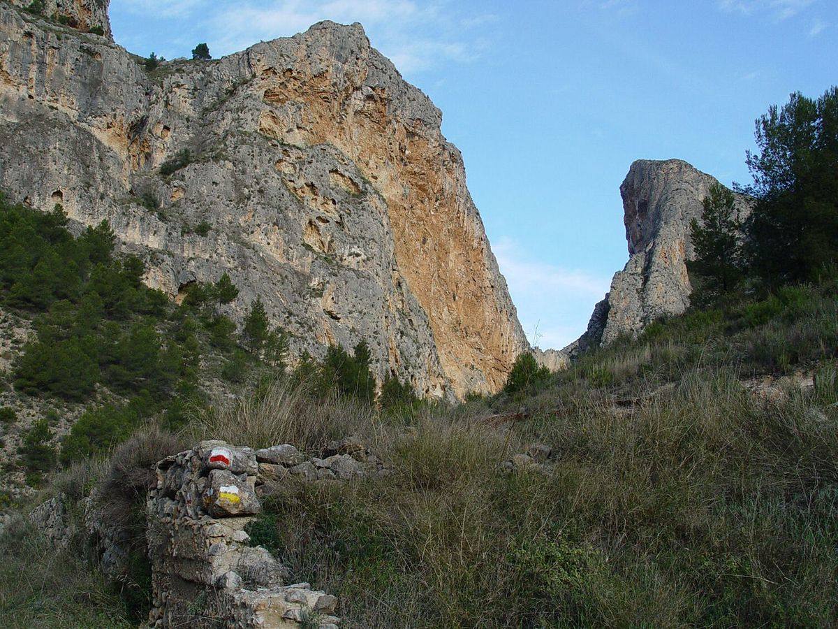 Sierra de Mariola. Este parque natural de casi 17.000 hectáreas alberga una gran diversidad faunística. Comprendido en el interior de las provincias de Alicante y Valencia, los visitantes pueden encontrar jabalíes, arruís o búhos reales. No obstante, el verdadero secreta de este paraje es que en él se encuentra la única población conocida de zorro rojo que presenta el pelaje completamente negro, fruto de una variación genética. ¿Tendrás la suerte de verlo?