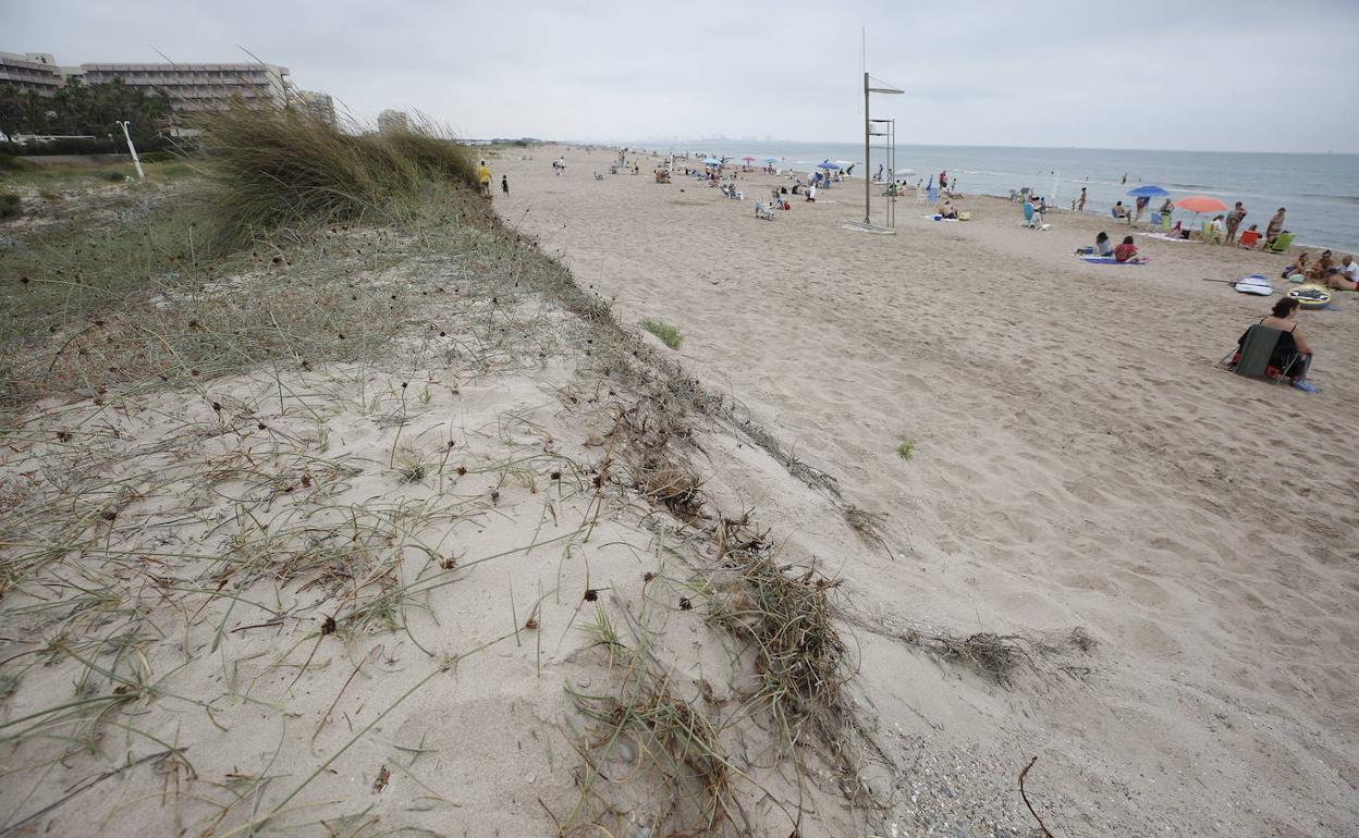 Dunas destrozadas por las tormentas en la playa de la Garrofera. 