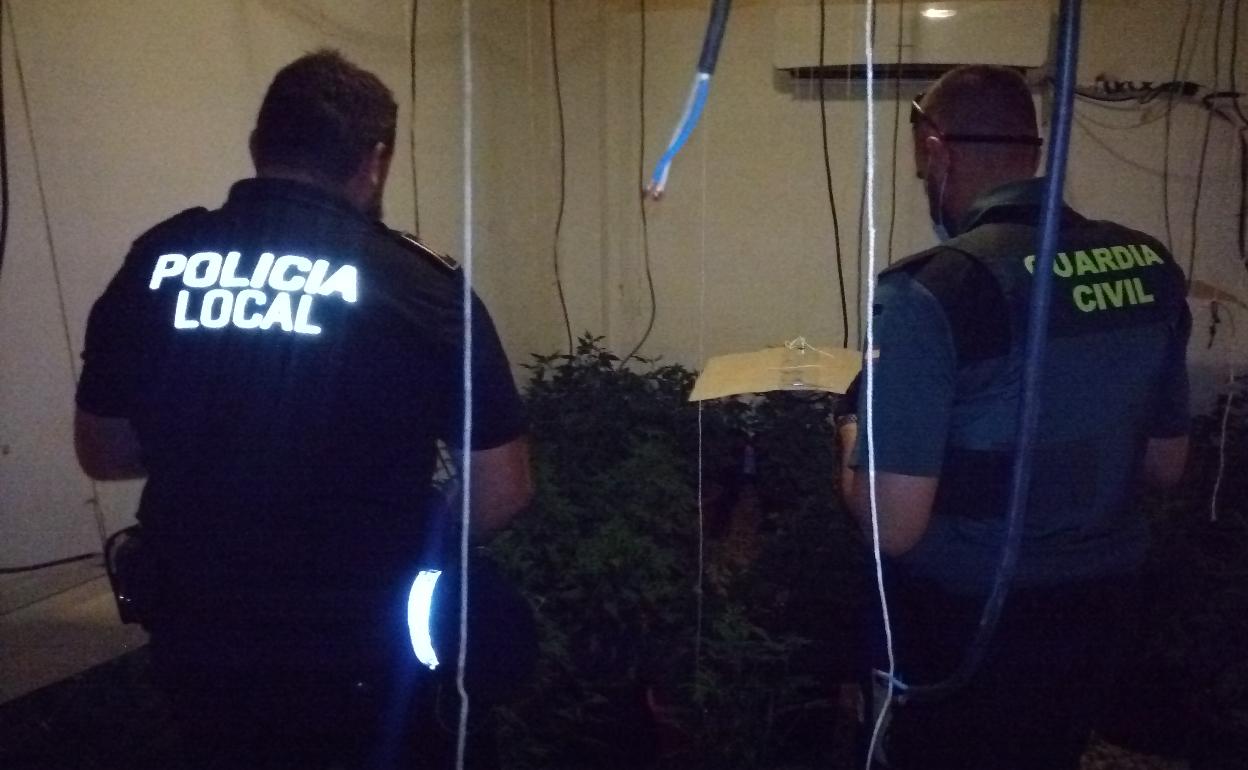 Dos agentes de la Policía Local de l'Alcúdia junto a parte de las plantaciones halladas en la vivienda. 