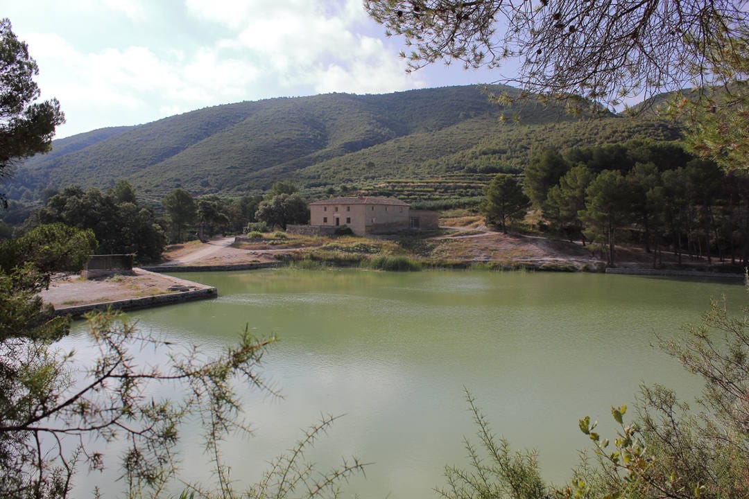Bosquet de Moixent (Valencia). Este paraje natural es uno de los lugares más emblemáticos de la localidad valenciana. En él, los visitantes pueden, además de organizar un buen picnic, disfrutar de un lago artificial, para darse un chapuzón y practicar deportes náuticos.