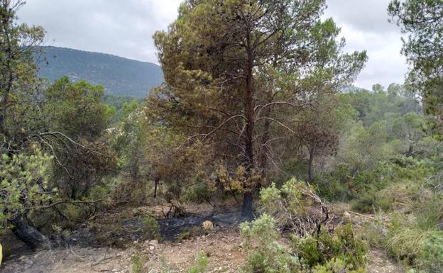 Imagen principal - Un rayo provoca un incendio forestal en La Font de la Figuera que ya ha sido sofocado