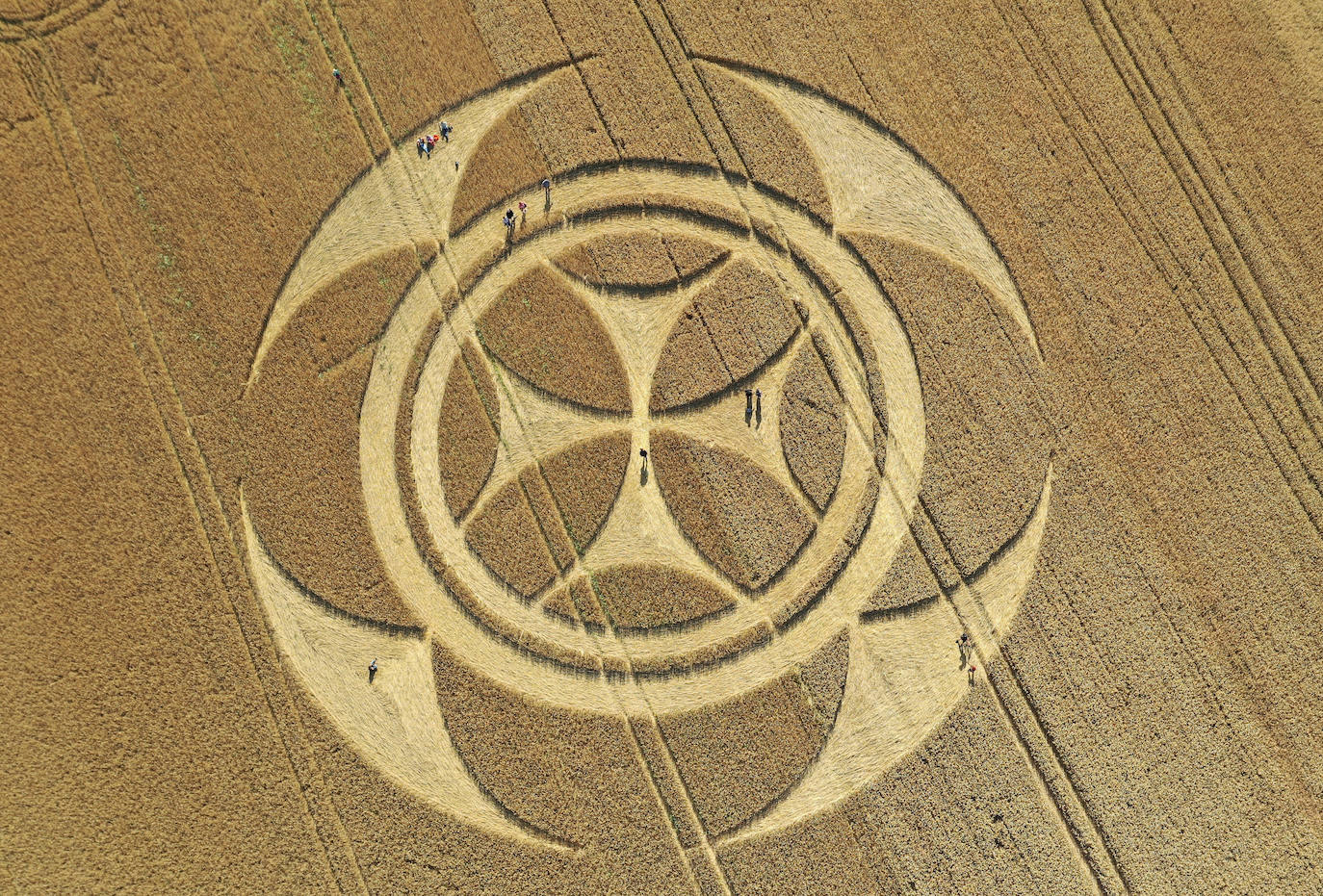 Fotos: Aparece una gigantesca señal templaria sobre un campo en el norte de Francia