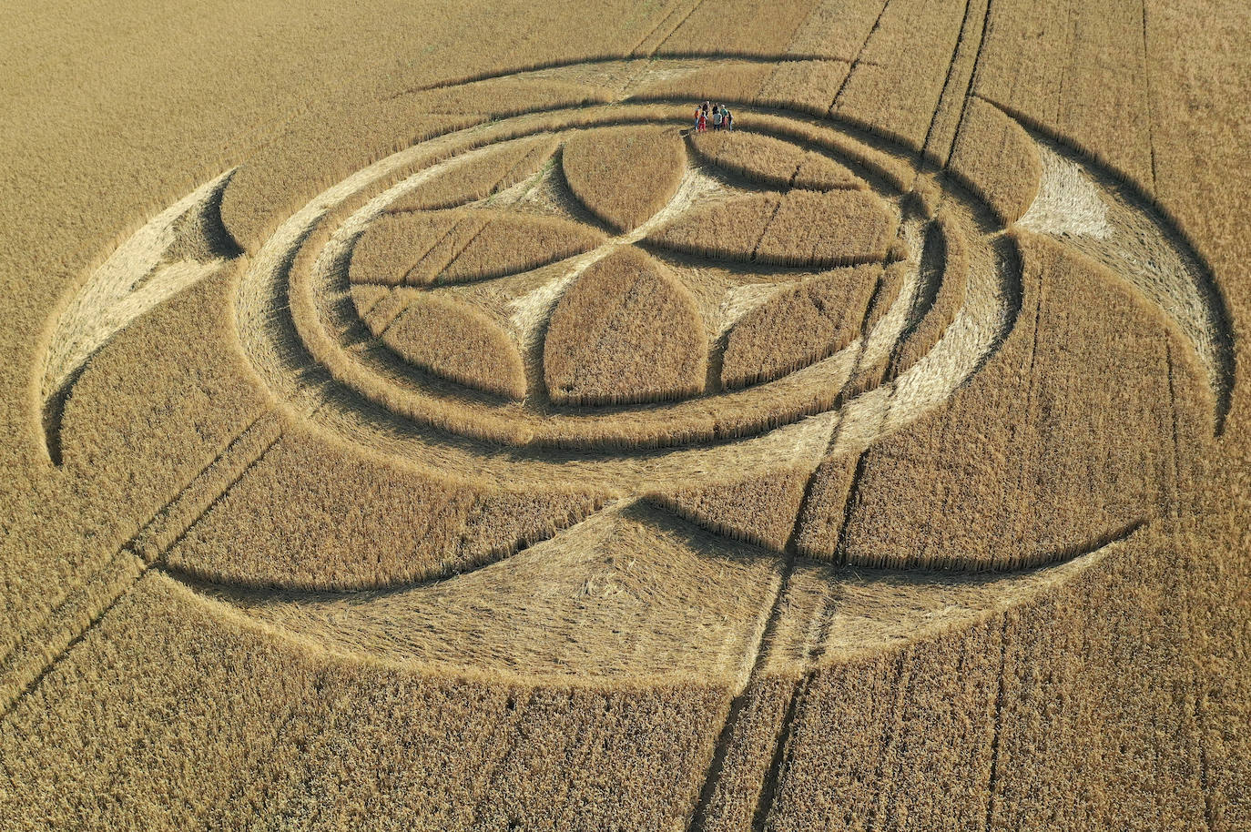 Fotos: Aparece una gigantesca señal templaria sobre un campo en el norte de Francia