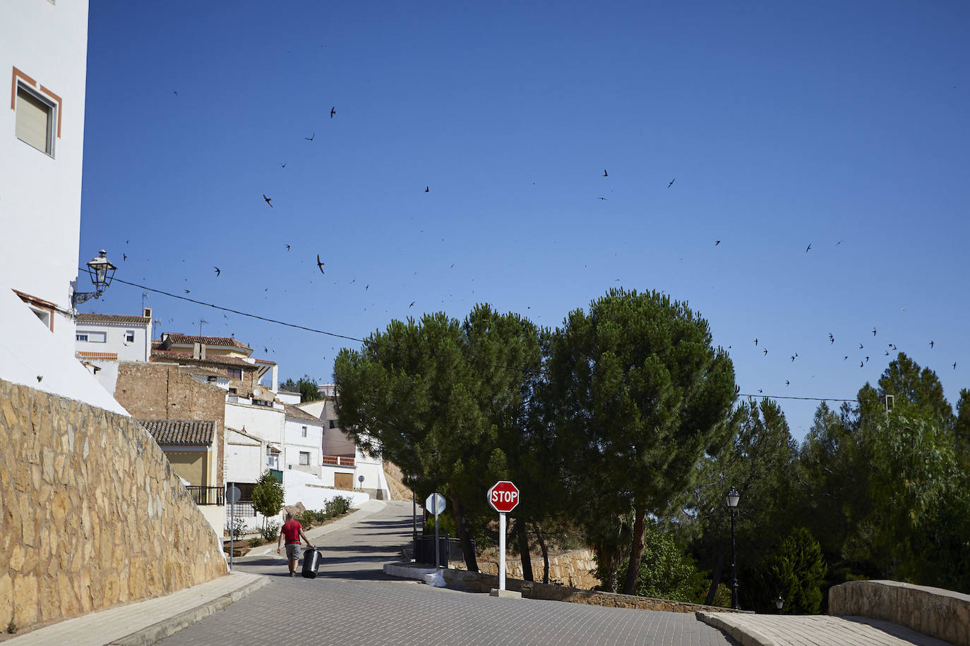 Zarra, un oasis en el epicentro del coronavirus