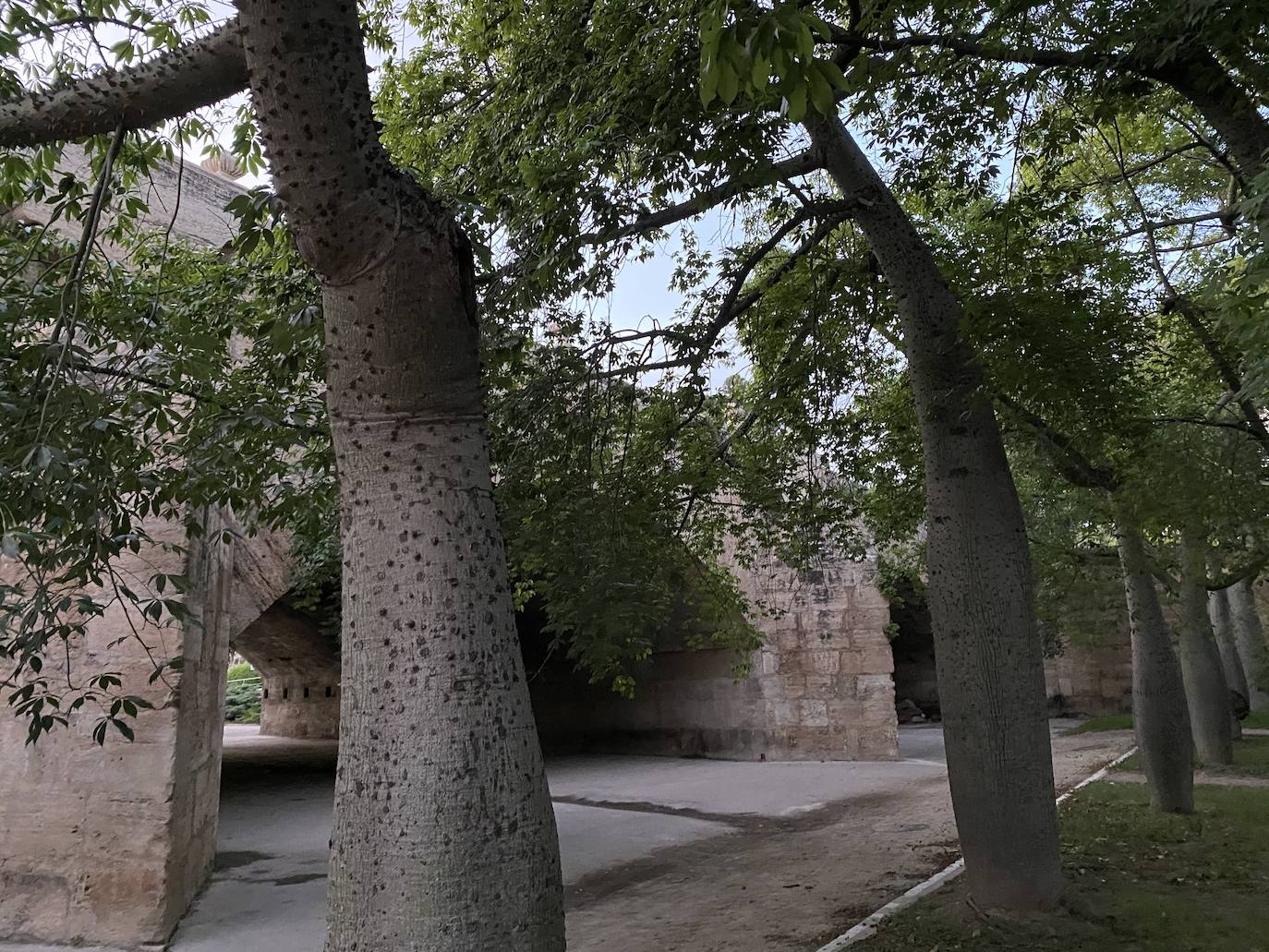 Fotos: El Puente del Real, una construcción con vistas privilegiadas en Valencia