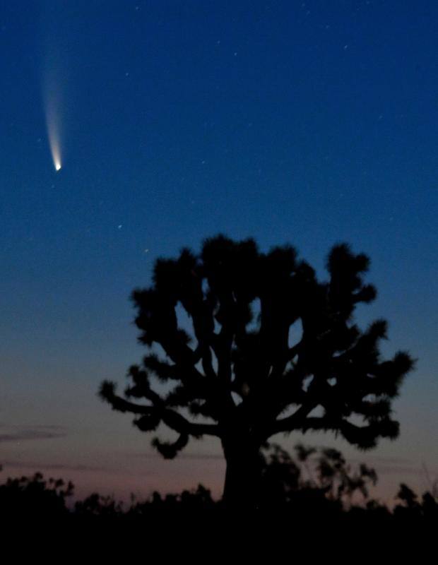 Fotos: Fotos del paso del cometa Neowise, que se puede ver a simple vista