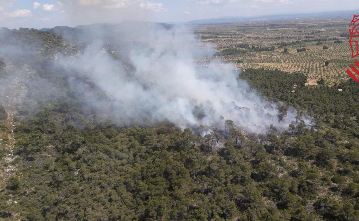 Incendio en La Serratilla (Utiel).