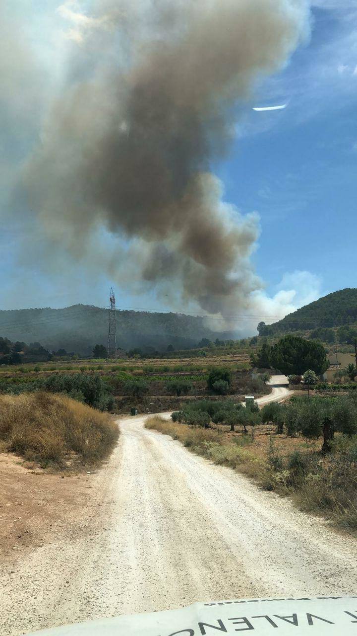 Varias dotaciones de bomberos trabajan para extinguir el fuego que afecta a la localidad alicantina.