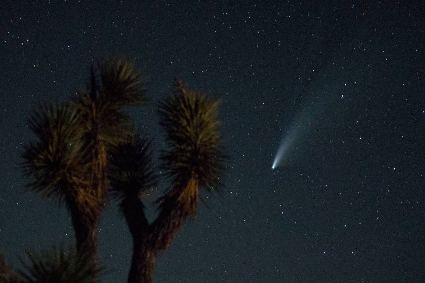 El cielo del hemisferio norte ofrece este verano un espectáculo poco habitual: el cometa 'Neowise' se puede observar a simple vista, un fenómeno que no se producía desde hace más de 20 años. Descubierto a finales de marzo por el satélite Neowise de la Nasa, el cometa comenzó a ser visible a simple vista el 3 de julio al alcanzar su perihelio, el punto de su órbita mas cercano al Sol, en este caso a 50 millones de kilómetros, explicó el lunes a la AFP Lucie Maquet, astrónoma del Observatorio de París-PSL.