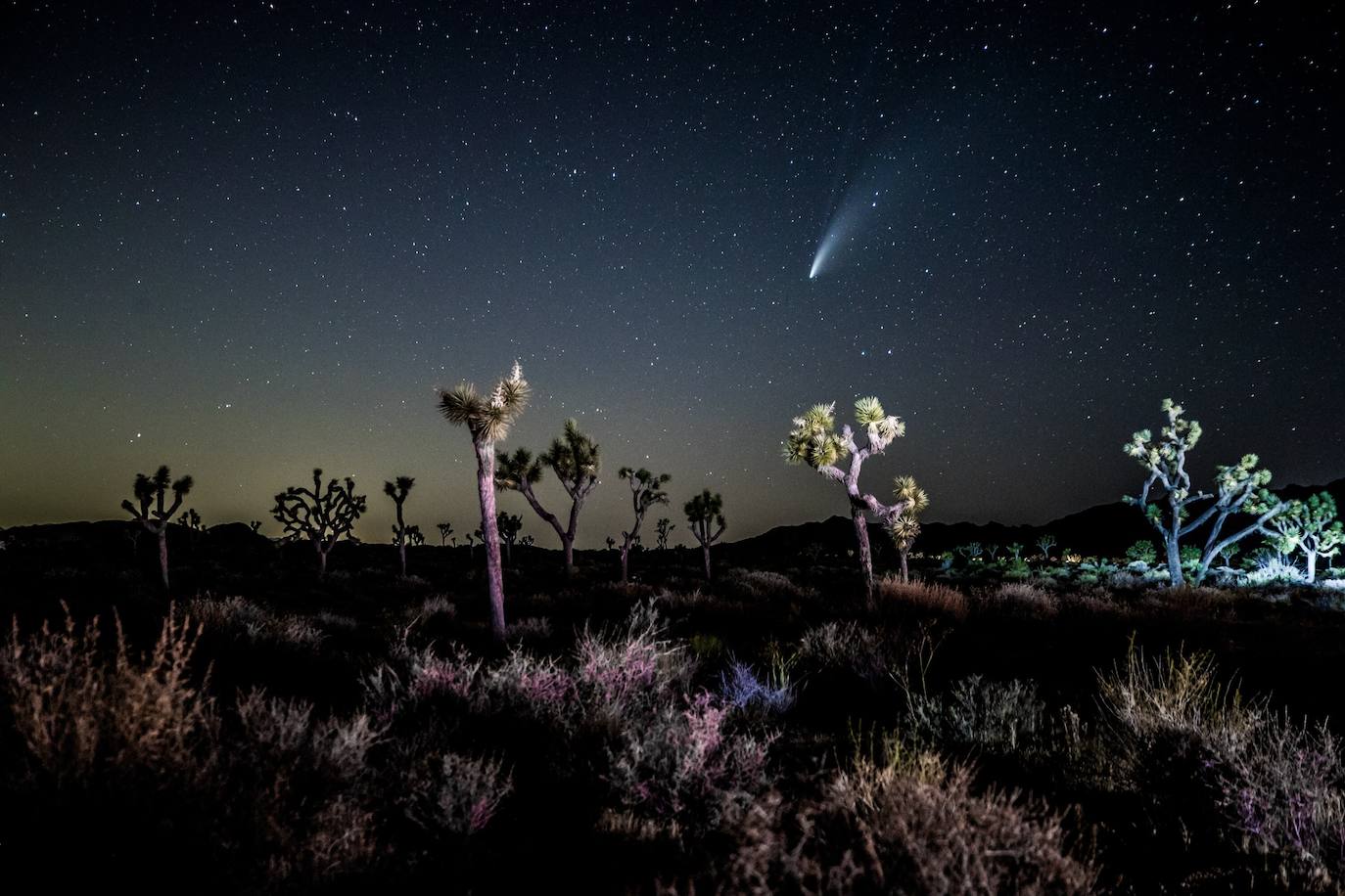 El cielo del hemisferio norte ofrece este verano un espectáculo poco habitual: el cometa 'Neowise' se puede observar a simple vista, un fenómeno que no se producía desde hace más de 20 años. Descubierto a finales de marzo por el satélite Neowise de la Nasa, el cometa comenzó a ser visible a simple vista el 3 de julio al alcanzar su perihelio, el punto de su órbita mas cercano al Sol, en este caso a 50 millones de kilómetros, explicó el lunes a la AFP Lucie Maquet, astrónoma del Observatorio de París-PSL.