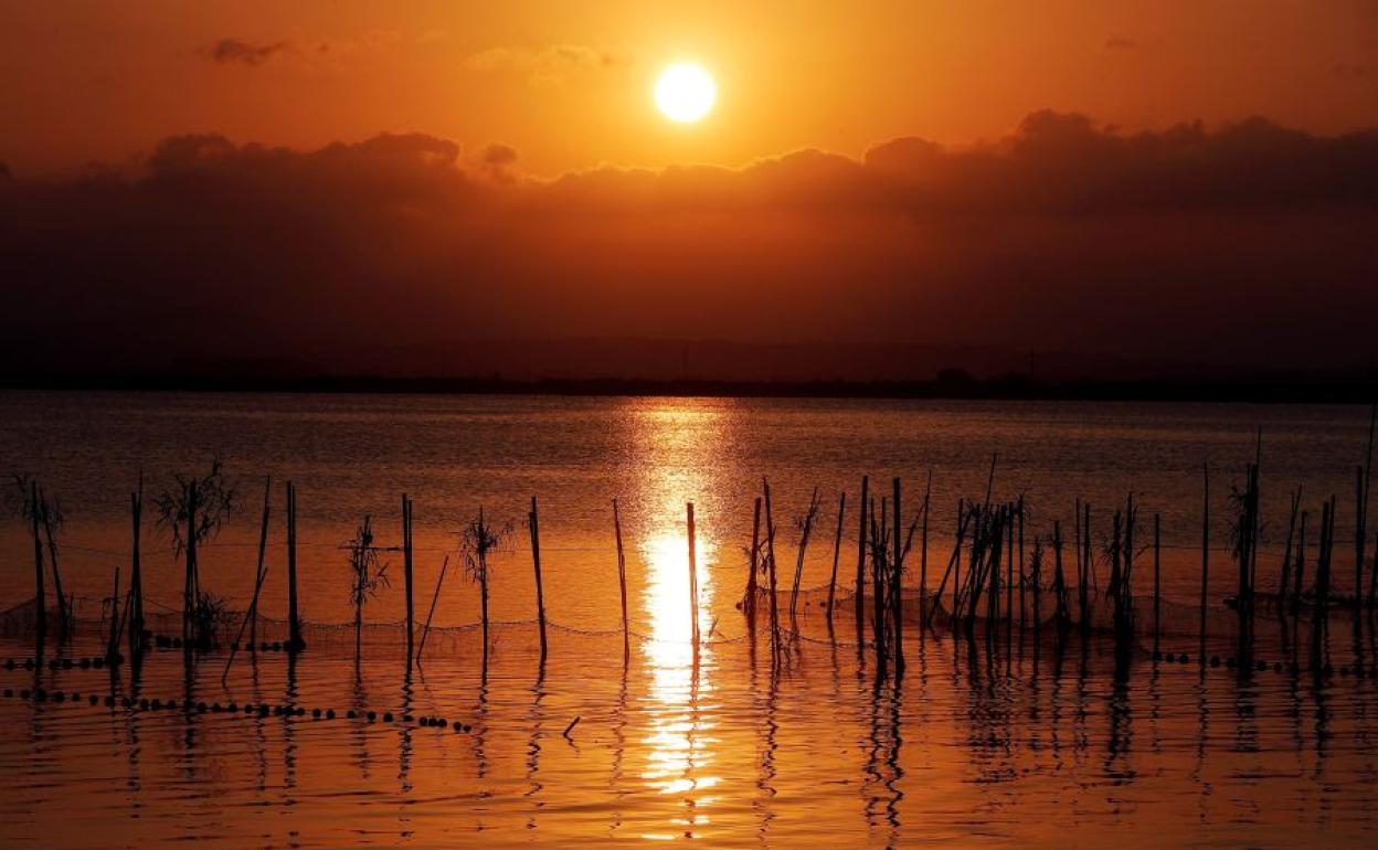 Albufera de Valencia