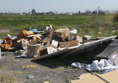 Imagen secundaria 1 - Residuos y basura en la Albufera.