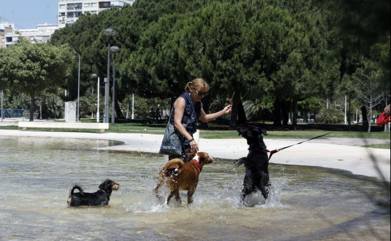 Ola de calor en Valencia.