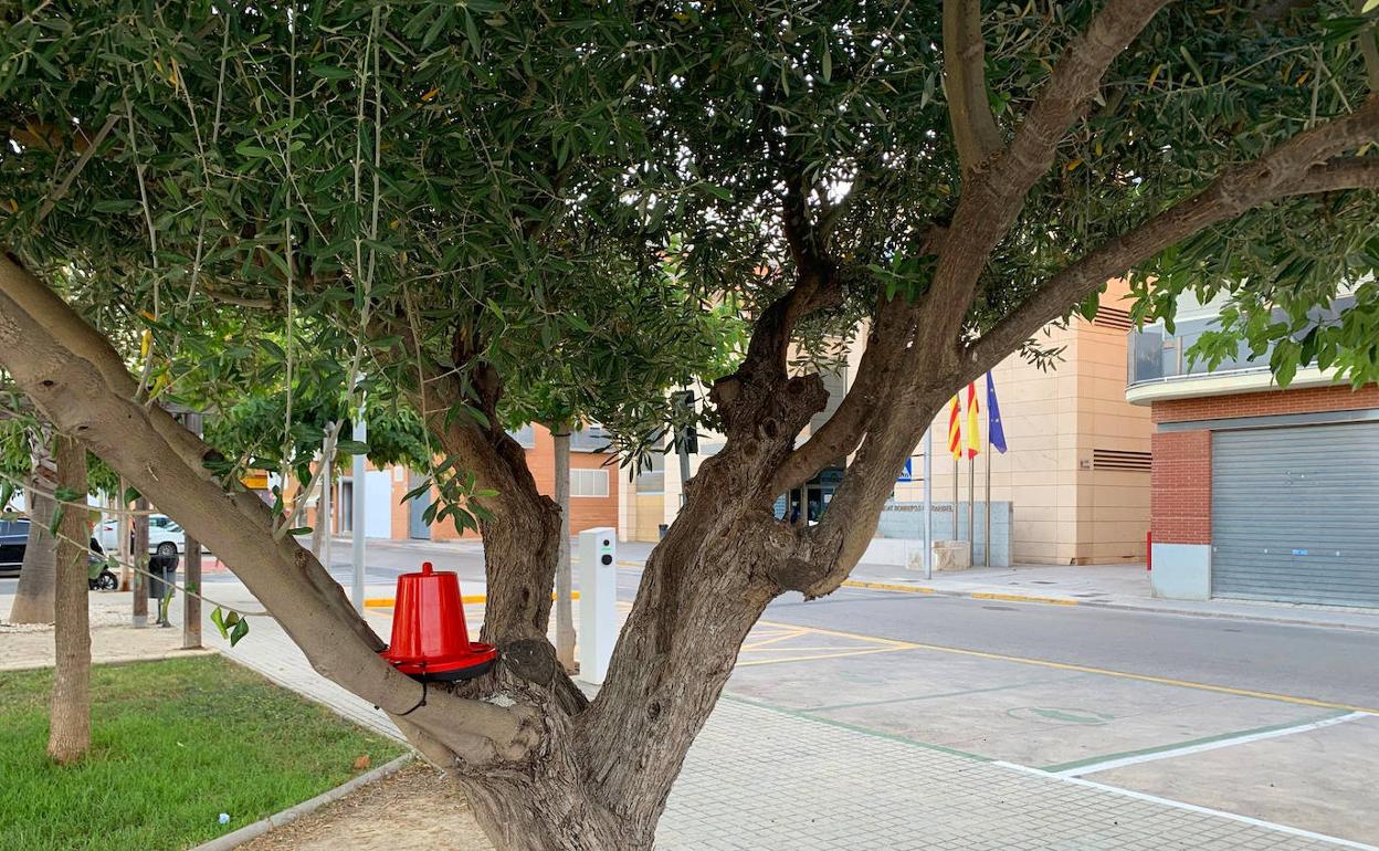 Uno de los comederos instalado en un árbol. 