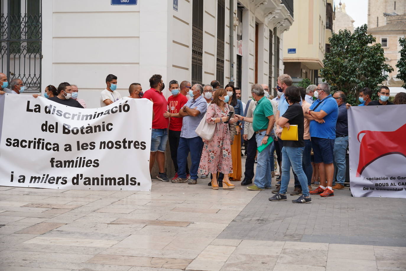 La Asociación de Ganaderos de Bous al Carrer de la Comunitat, junto a Ava-Asaja y La Unió de Llauradors, se concentra para reclamar a la Generalitat medidas de auxilio que eviten el sacrificio de más animales debido a la cancelación de festejos taurinos por el coronavirus.
