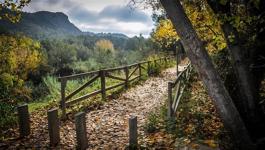 38. Cova Negra de Xàtiva (Valencia).