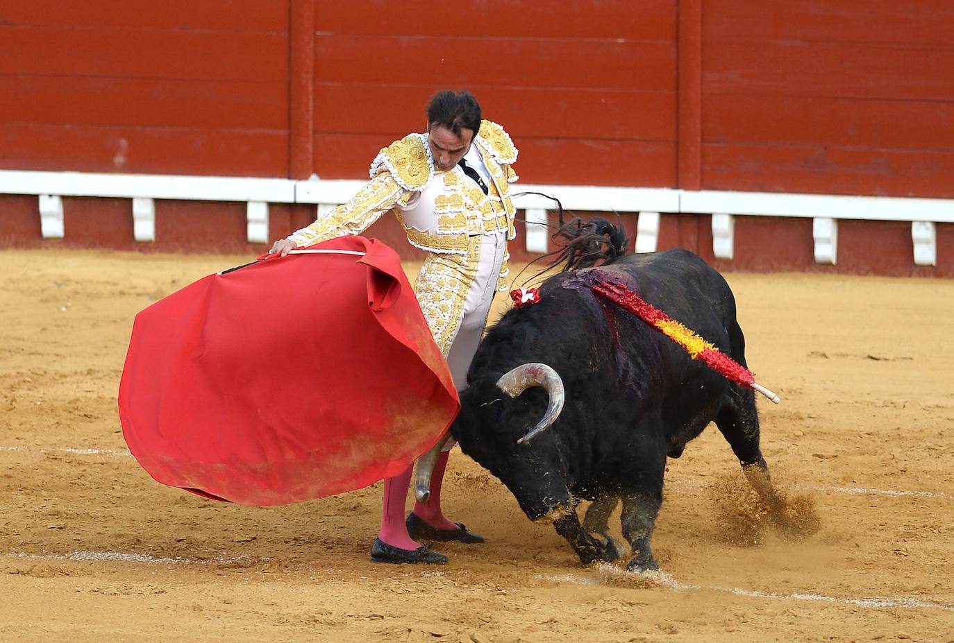 Enrique Ponce sufrió este jueves un susto en El Puerto de Santa María. Su primer toro de la tarde le dio un revolcón -afortunadamente sin consecuencias- al entrar a matar. En el tendido, como testigo, su nueva pareja sentimental, Ana Soria. La joven reaccionó con temor ante las consecuencias de la cogida. El diestro de Chiva se dirigió hacia ella para tranquilizarla tras rematar la faena. 