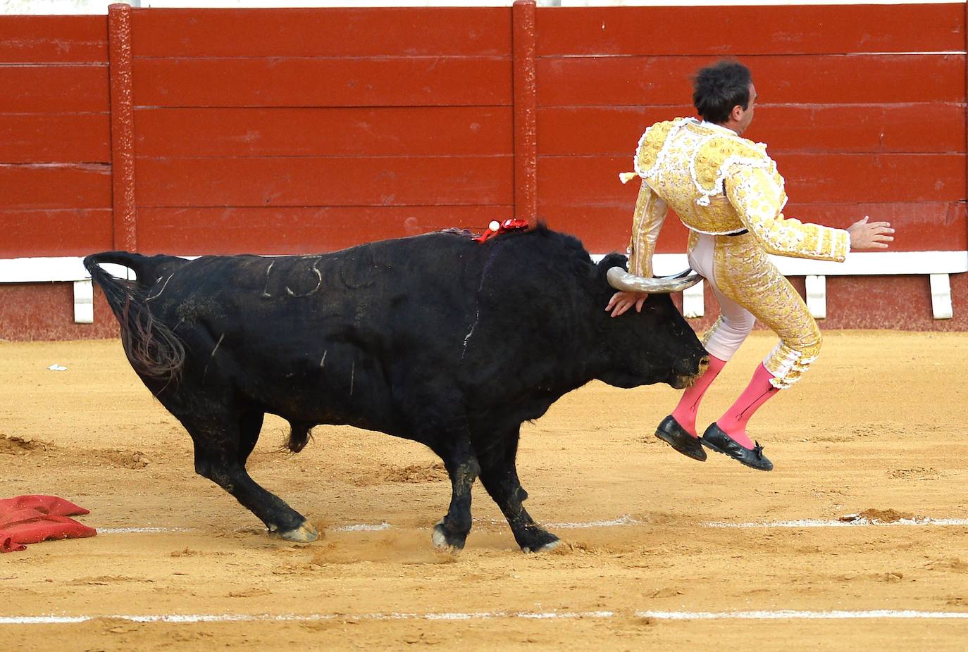 Enrique Ponce sufrió este jueves un susto en El Puerto de Santa María. Su primer toro de la tarde le dio un revolcón -afortunadamente sin consecuencias- al entrar a matar. En el tendido, como testigo, su nueva pareja sentimental, Ana Soria. La joven reaccionó con temor ante las consecuencias de la cogida. El diestro de Chiva se dirigió hacia ella para tranquilizarla tras rematar la faena. 