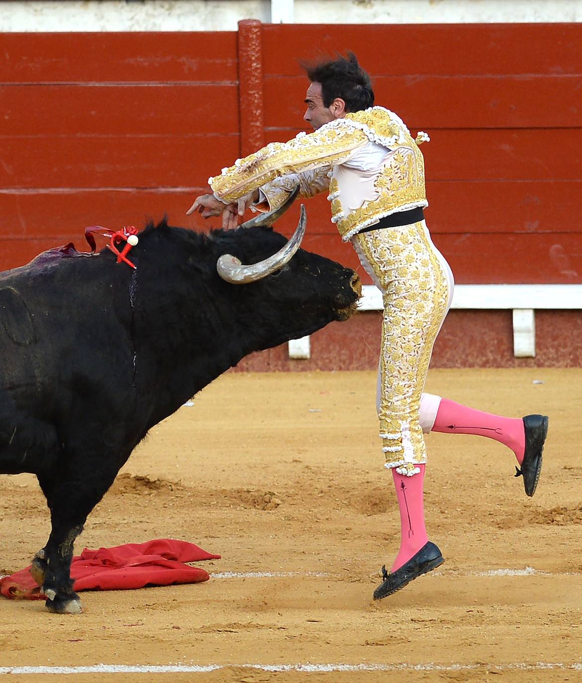 Enrique Ponce sufrió este jueves un susto en El Puerto de Santa María. Su primer toro de la tarde le dio un revolcón -afortunadamente sin consecuencias- al entrar a matar. En el tendido, como testigo, su nueva pareja sentimental, Ana Soria. La joven reaccionó con temor ante las consecuencias de la cogida. El diestro de Chiva se dirigió hacia ella para tranquilizarla tras rematar la faena. 