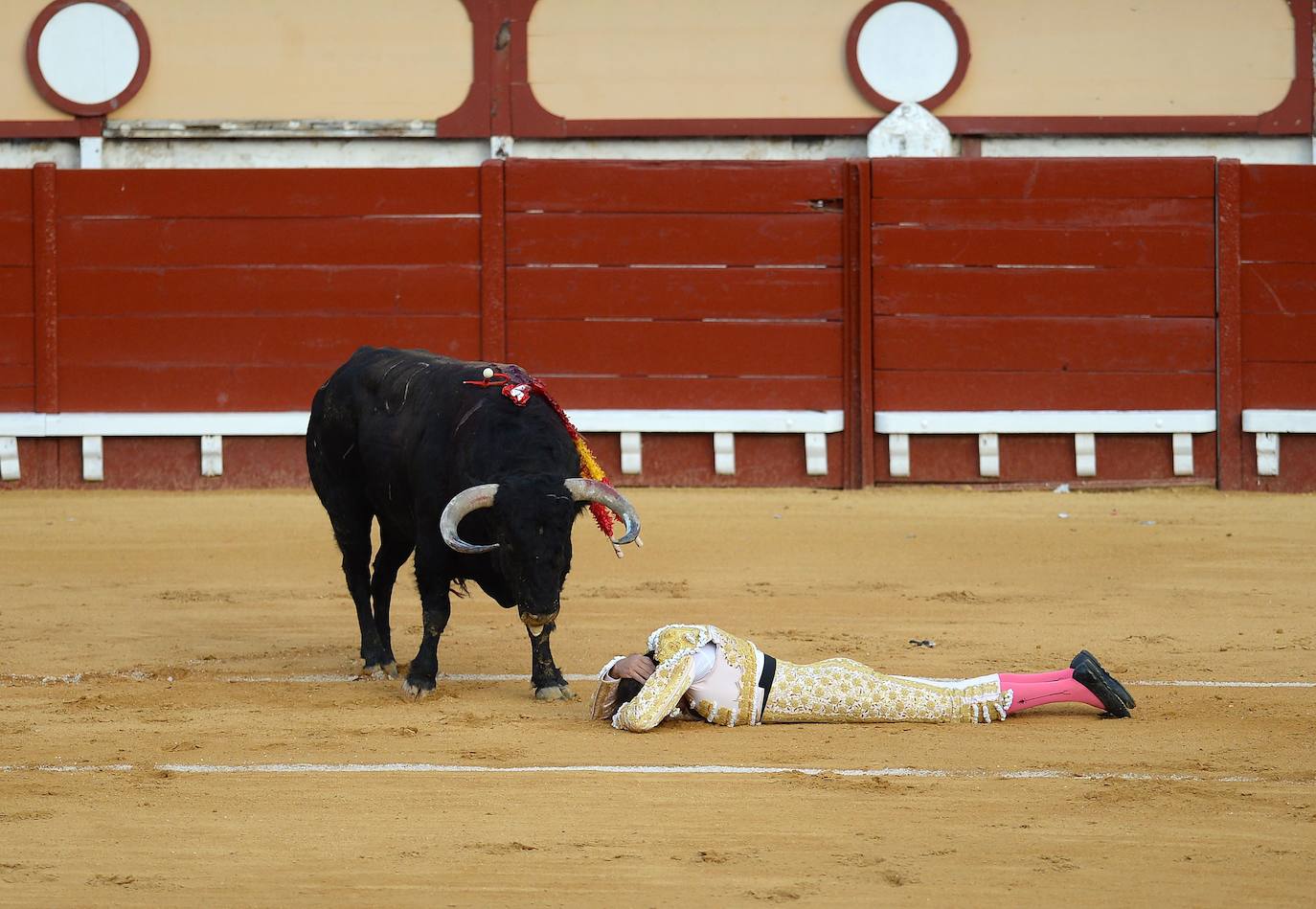 Enrique Ponce sufrió este jueves un susto en El Puerto de Santa María. Su primer toro de la tarde le dio un revolcón -afortunadamente sin consecuencias- al entrar a matar. En el tendido, como testigo, su nueva pareja sentimental, Ana Soria. La joven reaccionó con temor ante las consecuencias de la cogida. El diestro de Chiva se dirigió hacia ella para tranquilizarla tras rematar la faena. 