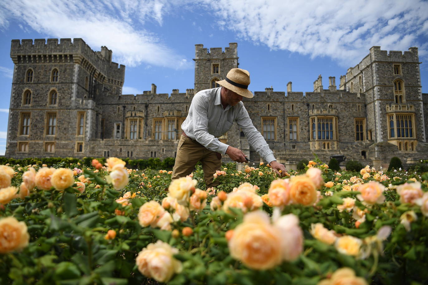 El Castillo de Windsor, una de las residencias oficiales de la Reina Isabel de Gran Bretaña, abrirá su jardín East Terrace Garden al público por primera vez en más de 40 años. 