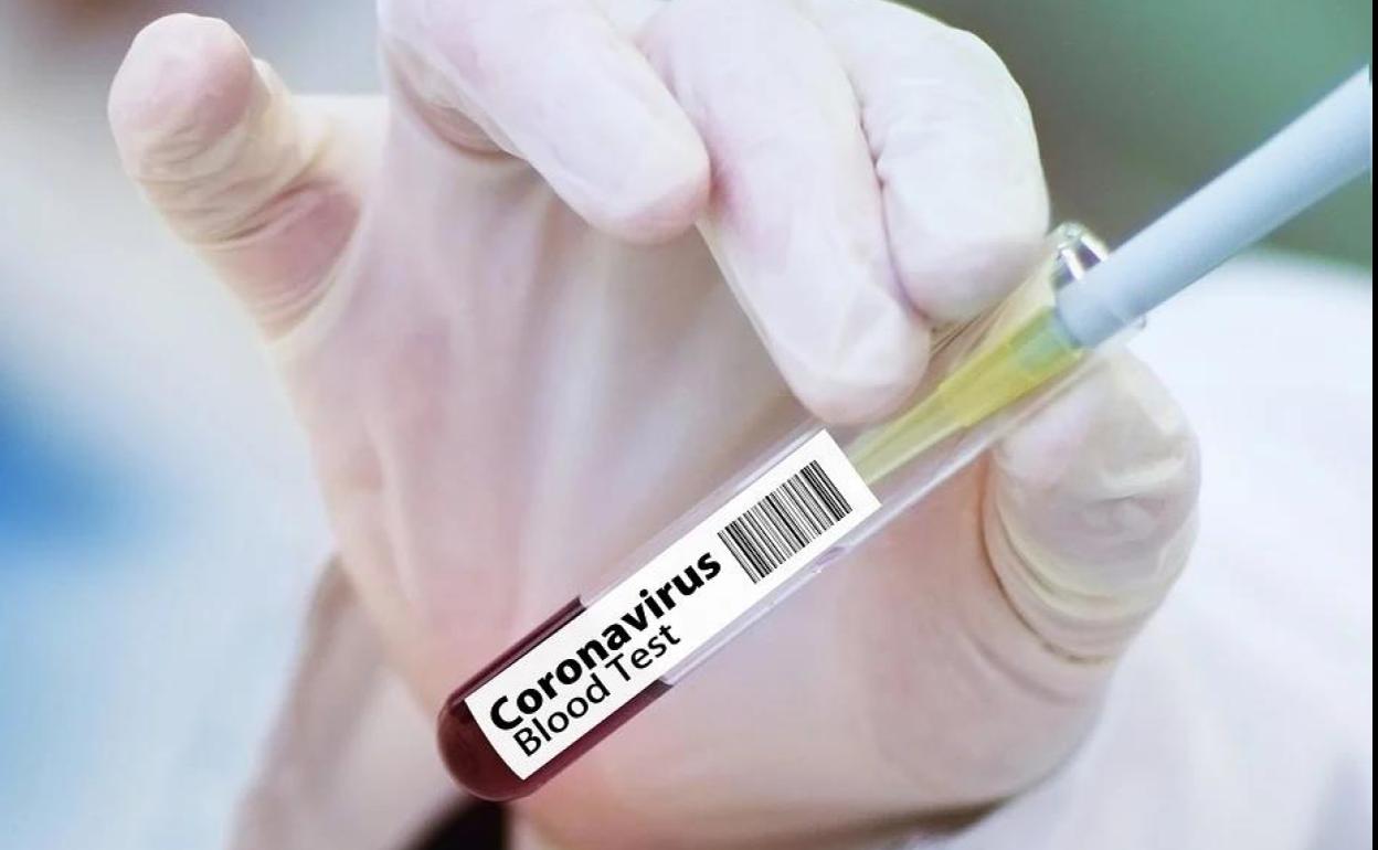www.lasprovincias.es