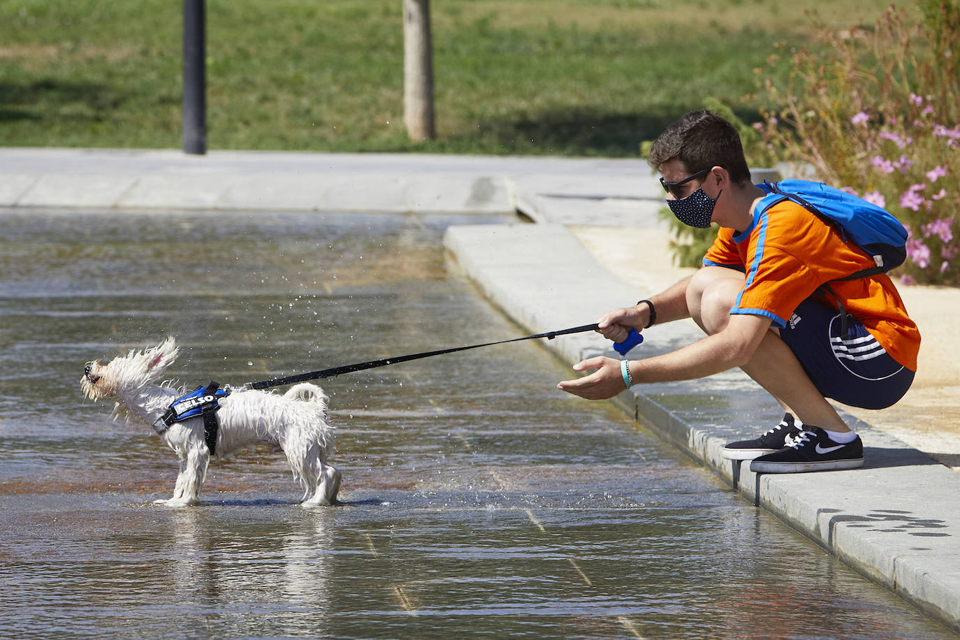 Suben las temperaturas y los valencianos aprovechan cualquier espacio para refrescarse, como en las fotos de este sábado 8 de agosto, en el parque Central y el centro de la ciudad. 