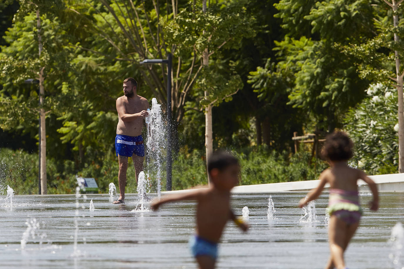 Suben las temperaturas y los valencianos aprovechan cualquier espacio para refrescarse, como en las fotos de este sábado 8 de agosto, en el parque Central y el centro de la ciudad. 