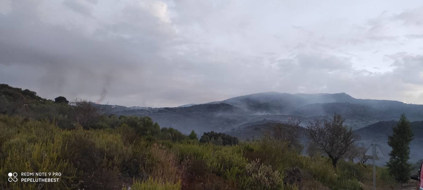 Los bomberos luchan contra tres incendios forestales en Alicante