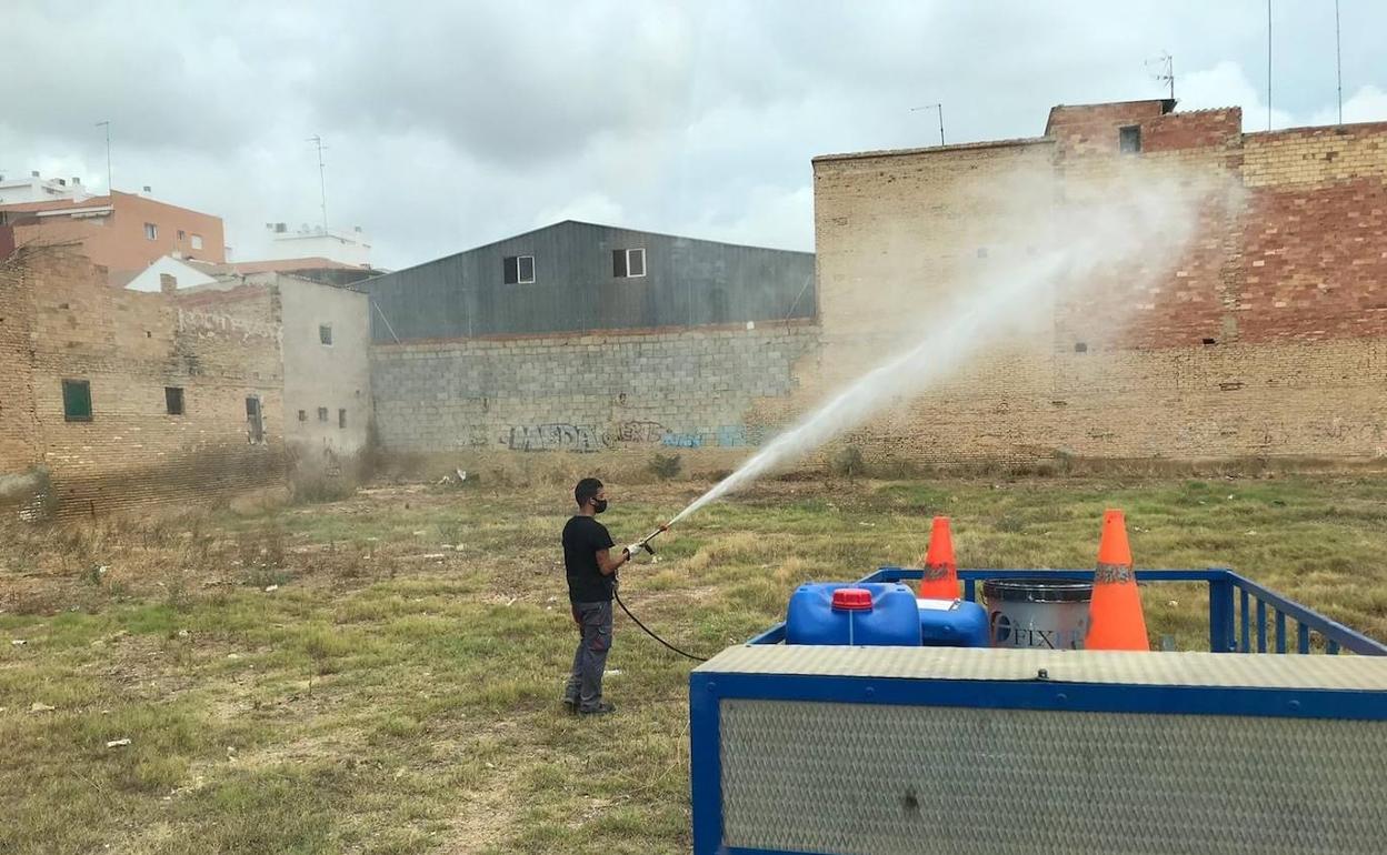 Un operario fumiga en un solar en Albal, tras las quejas vecinales. 