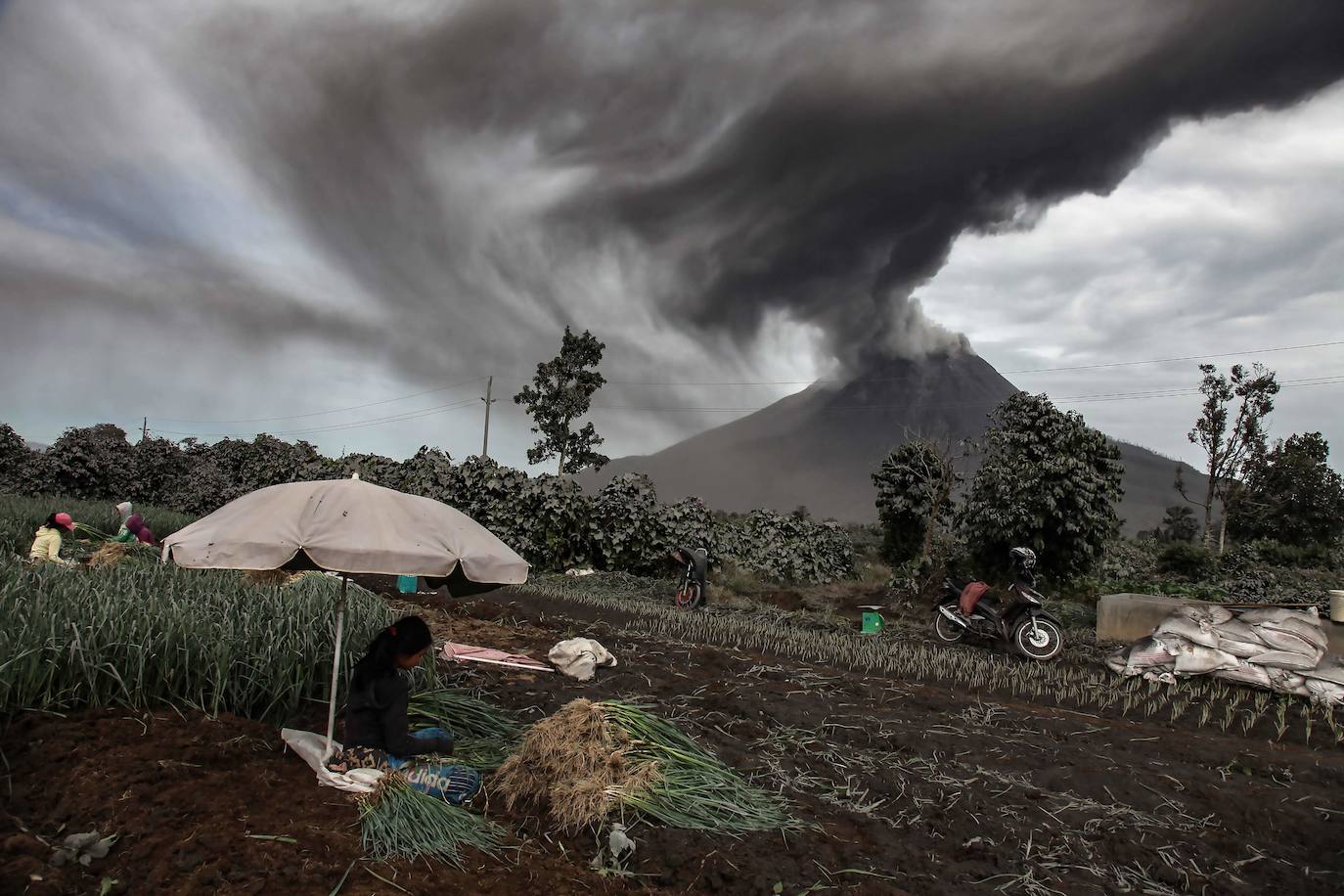 El volcán indonesio Sinabung ha entrado de nuevo en erupción este jueves, con una serie de explosiones que lanzaron columnas de cenizas de hasta dos kilómetros de altura, lo que provocó una alerta aérea y temores de ríos de lava. Se trata de la octava erupción en menos de una semana de este volcán ubicado en la isla de Sumatra, pero por el momento no se han reportado víctimas ni daños mayores. Su última erupción mortífera fue en 2016. El volcán se reactivó en 2010 tras 400 años dormido. Una nueva erupción se produjo en 2013 y desde entonces está muy activo. 