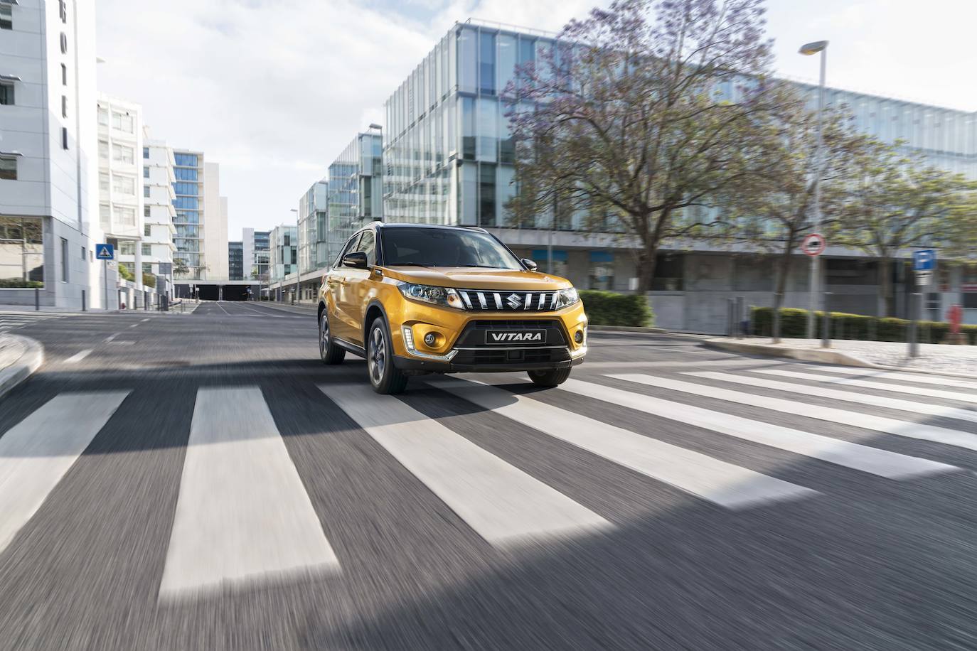 Fotos: Fotogalería: Suzuki Vitara 2020