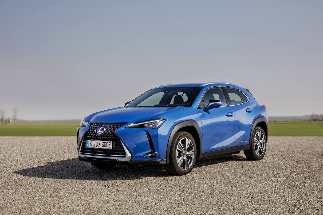 Fotos: Fotogalería: Lexus UX 300e