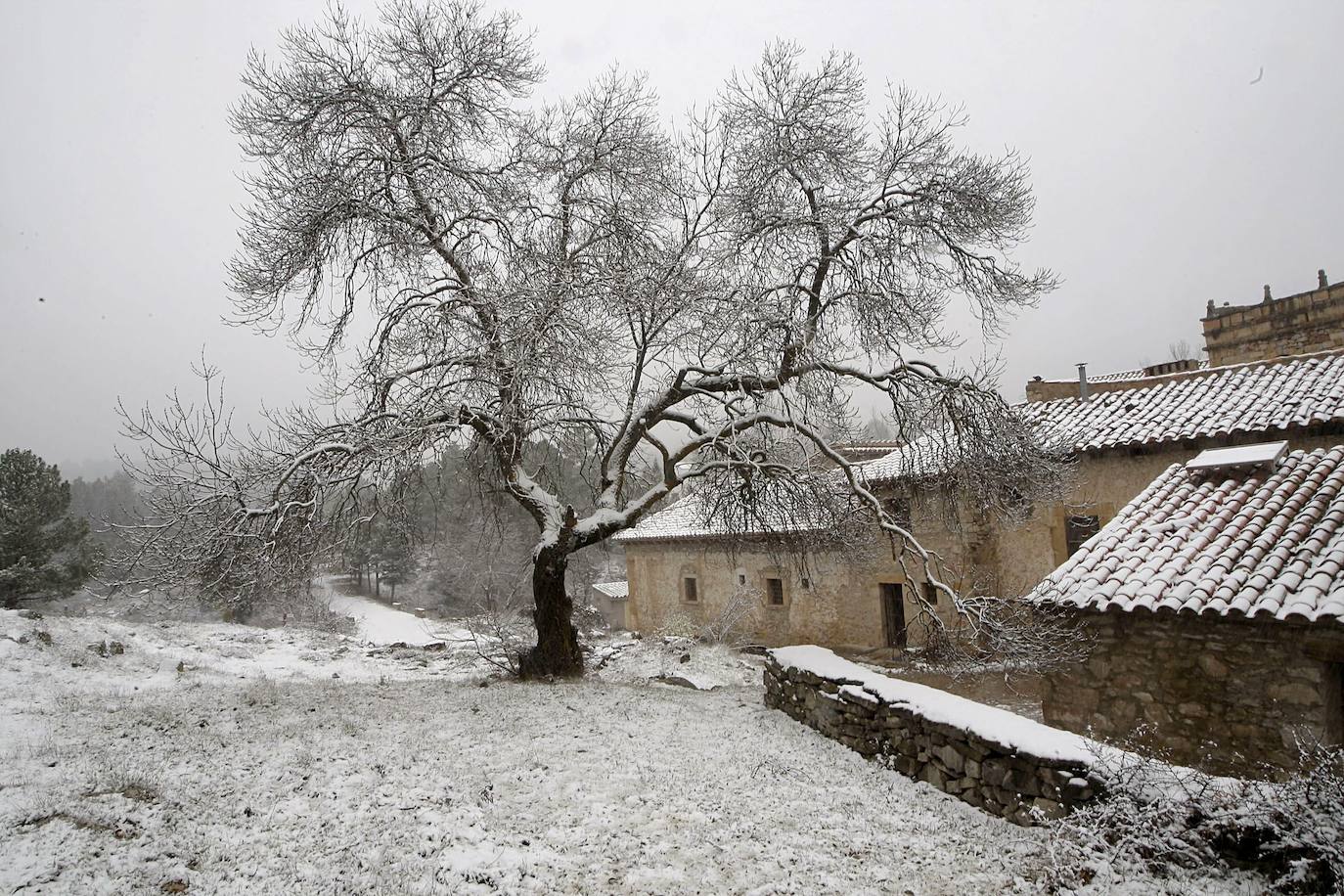 13.- Vistabella del Maestrat (Castellón)