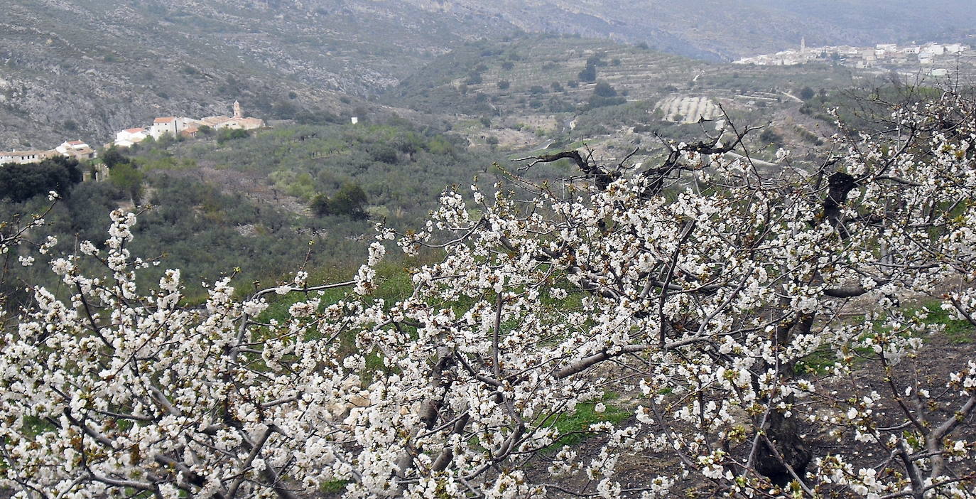 20.- Benissili (Alicante)