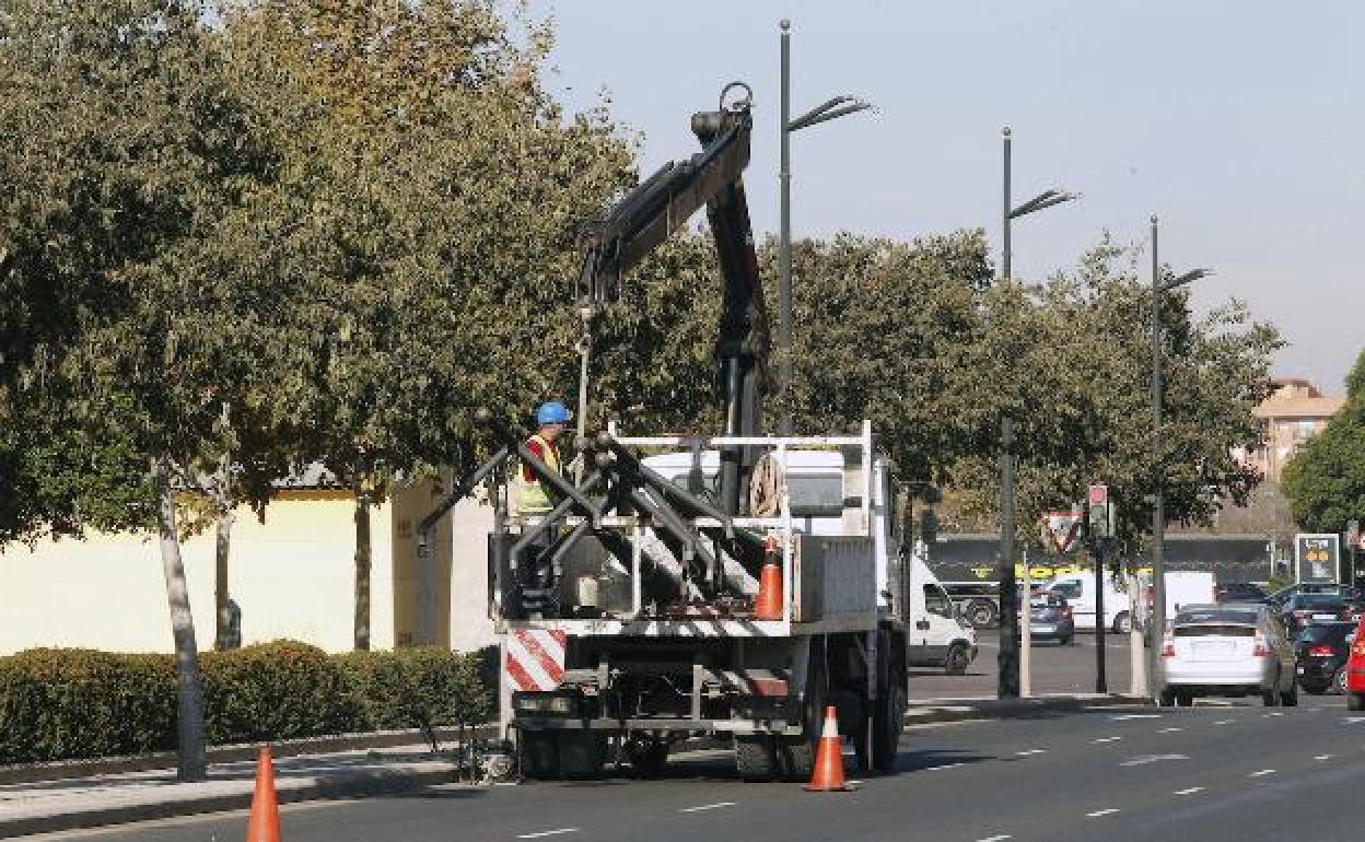 Cambio de farolas en un bulevar de Valencia.