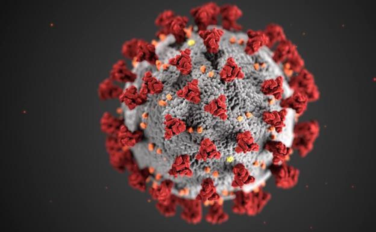 Fotografía cedida por los Centros para el Control y Prevención de Enfermedades (CDC) de Estados Unidos que muestra una ilustración que revela la morfología ultraestructural exhibida por los coronavirus