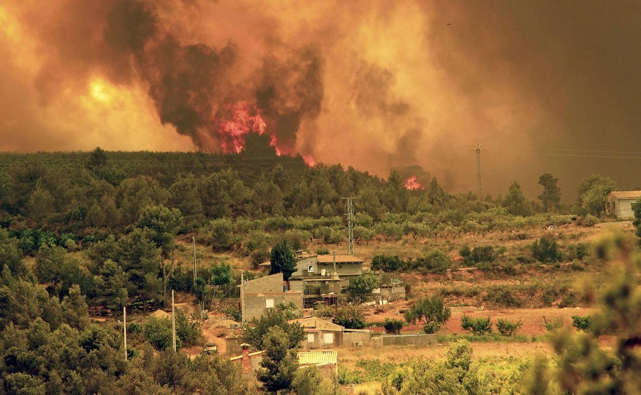 Las llamas arrasan con virulencia un paraje de Turís por el fuego iniciado en Cortes. 