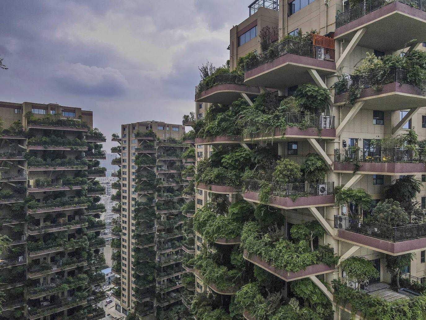 Los edificios «vegetalizados» de una residencia del suroeste de China, con plantas exuberantes en los balcones de los apartamentos, están siendo invadidos por su propia vegetación hasta el punto de que sus residentes los están abandonandos. 