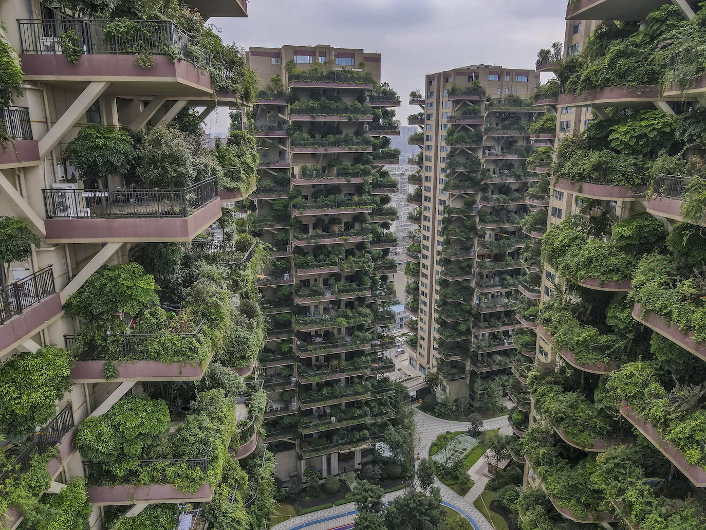 Los edificios «vegetalizados» de una residencia del suroeste de China, con plantas exuberantes en los balcones de los apartamentos, están siendo invadidos por su propia vegetación hasta el punto de que sus residentes los están abandonandos. 