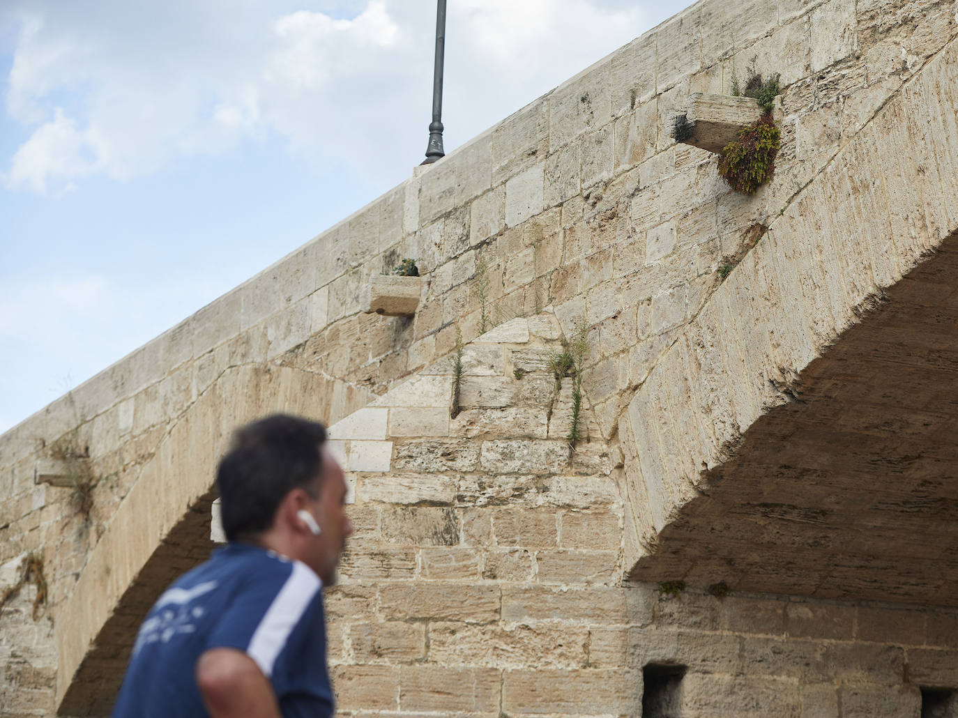 Jardín del Turia. Círculo de la Defensa del Patrimonio y vecinos del Tramo IX exigen un mantenimiento para evitar que los matorrales dañen los pretiles y pasarelas históricas 