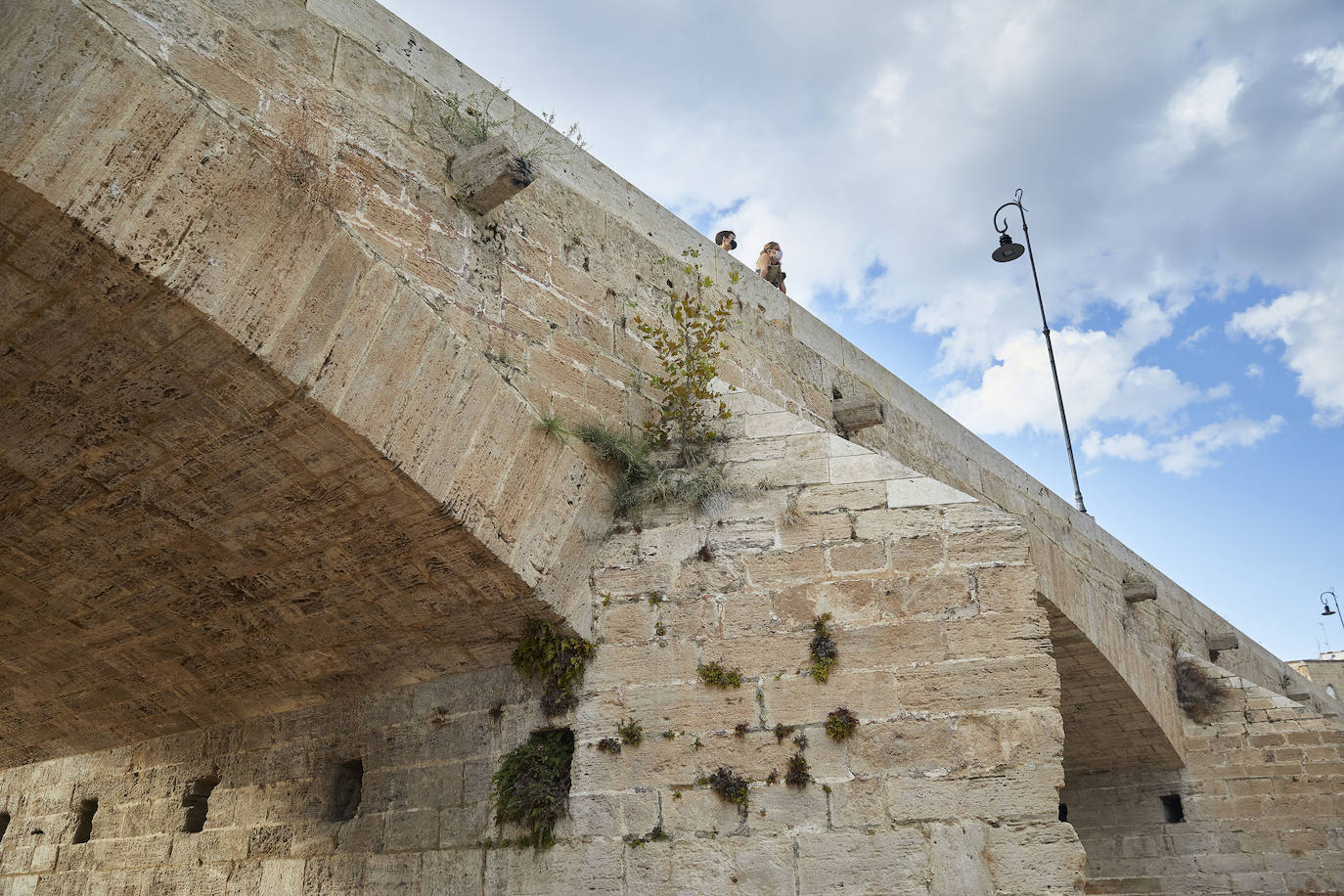 Jardín del Turia. Círculo de la Defensa del Patrimonio y vecinos del Tramo IX exigen un mantenimiento para evitar que los matorrales dañen los pretiles y pasarelas históricas 