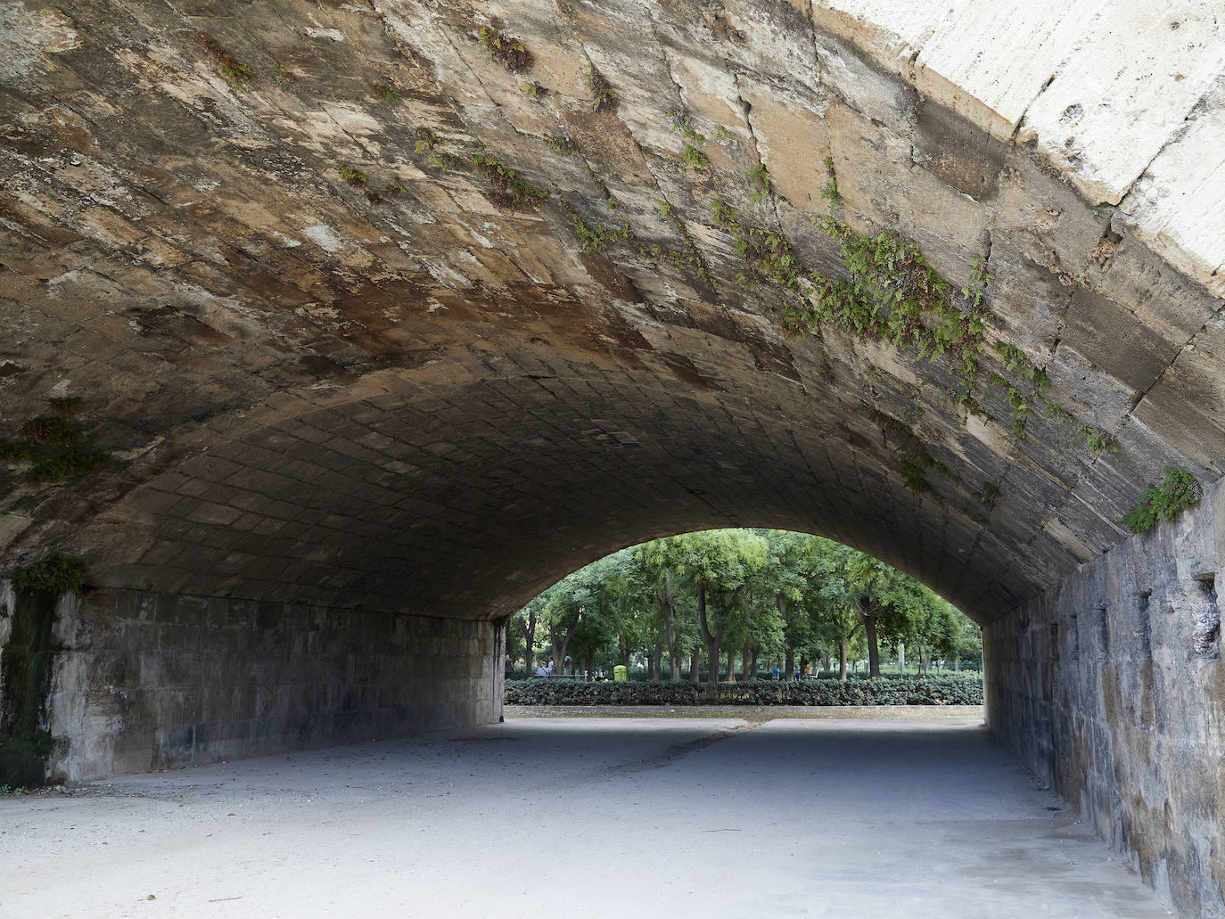 Jardín del Turia. Círculo de la Defensa del Patrimonio y vecinos del Tramo IX exigen un mantenimiento para evitar que los matorrales dañen los pretiles y pasarelas históricas 