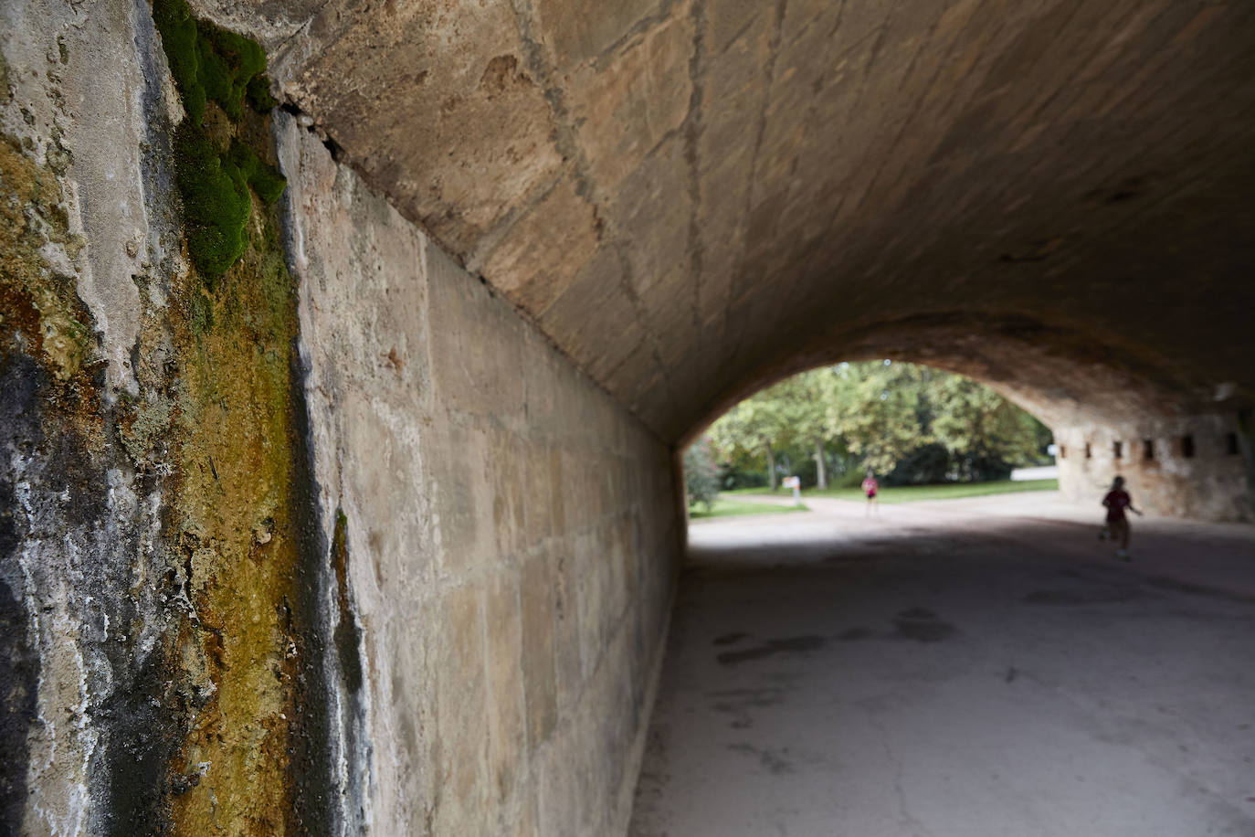 Jardín del Turia. Círculo de la Defensa del Patrimonio y vecinos del Tramo IX exigen un mantenimiento para evitar que los matorrales dañen los pretiles y pasarelas históricas 