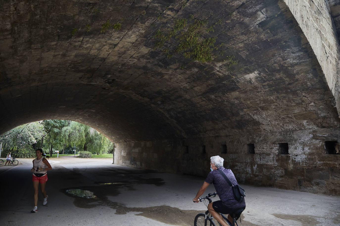 Jardín del Turia. Círculo de la Defensa del Patrimonio y vecinos del Tramo IX exigen un mantenimiento para evitar que los matorrales dañen los pretiles y pasarelas históricas 