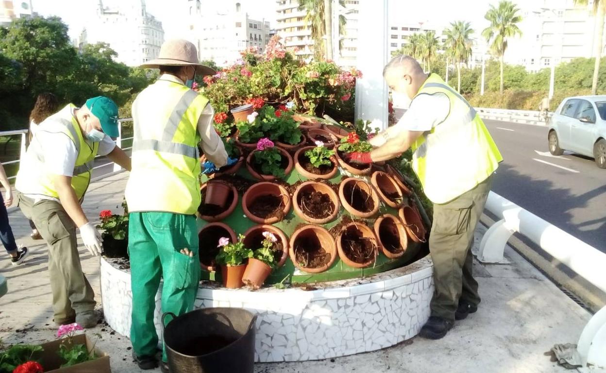 Jardineros trabajando en la reposición de plantas en el puente de las Flores. 